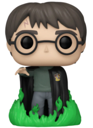 Harry Potter (com Pó de Flú)