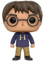 Harry Potter (com suéter “H”)